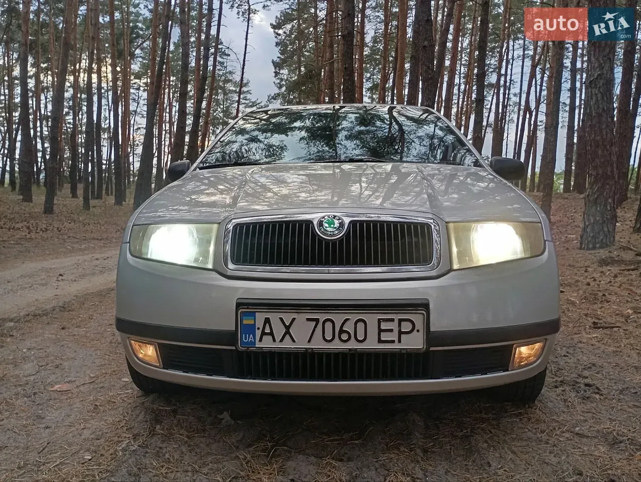 Skoda Fabia 2002 photo 3