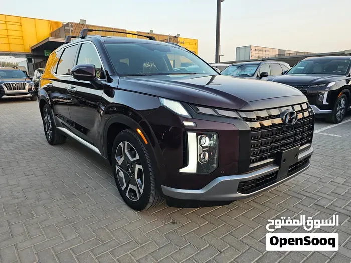 Hyundai Palisade 2024 photo 2