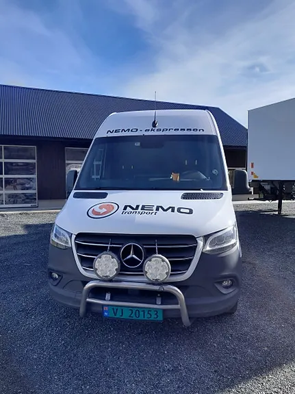 Mercedes-Benz Sprinter 316 2020 photo 5