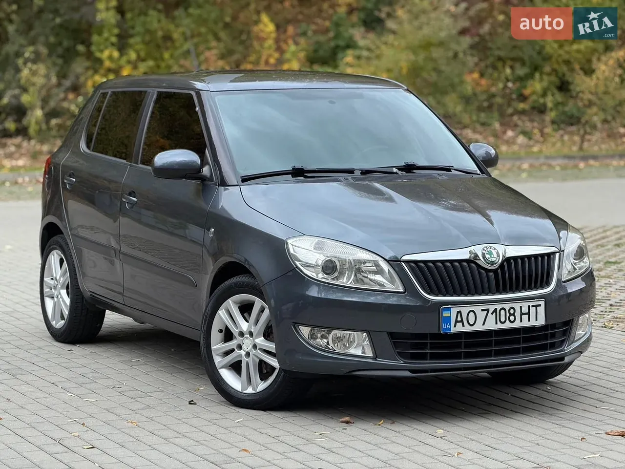 Skoda Fabia 2011 photo 2