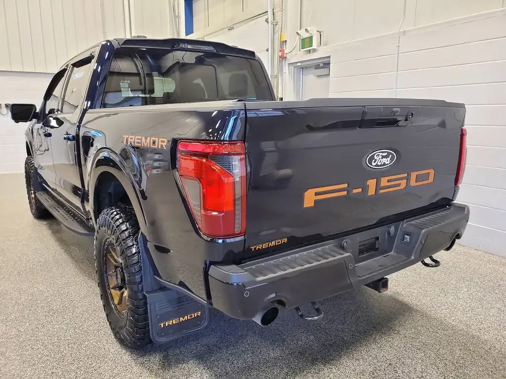 Ford F-150 2025 photo 3