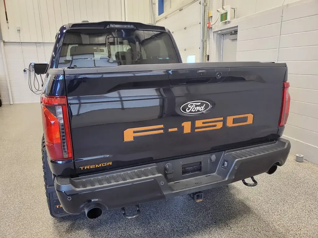 Ford F-150 2025 photo 4