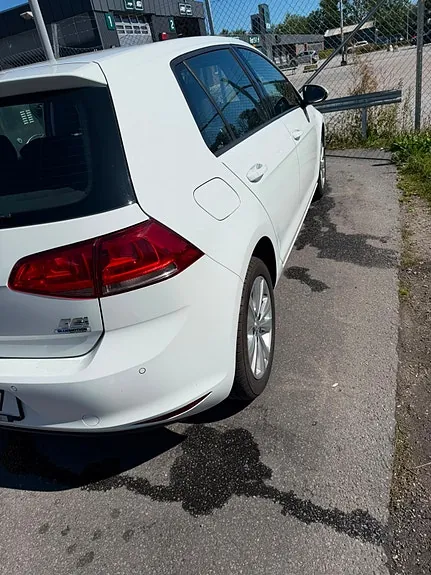 Volkswagen Golf Vii 2016 photo 5