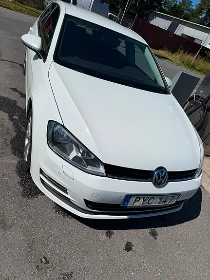 Volkswagen Golf Vii 2016 photo 3