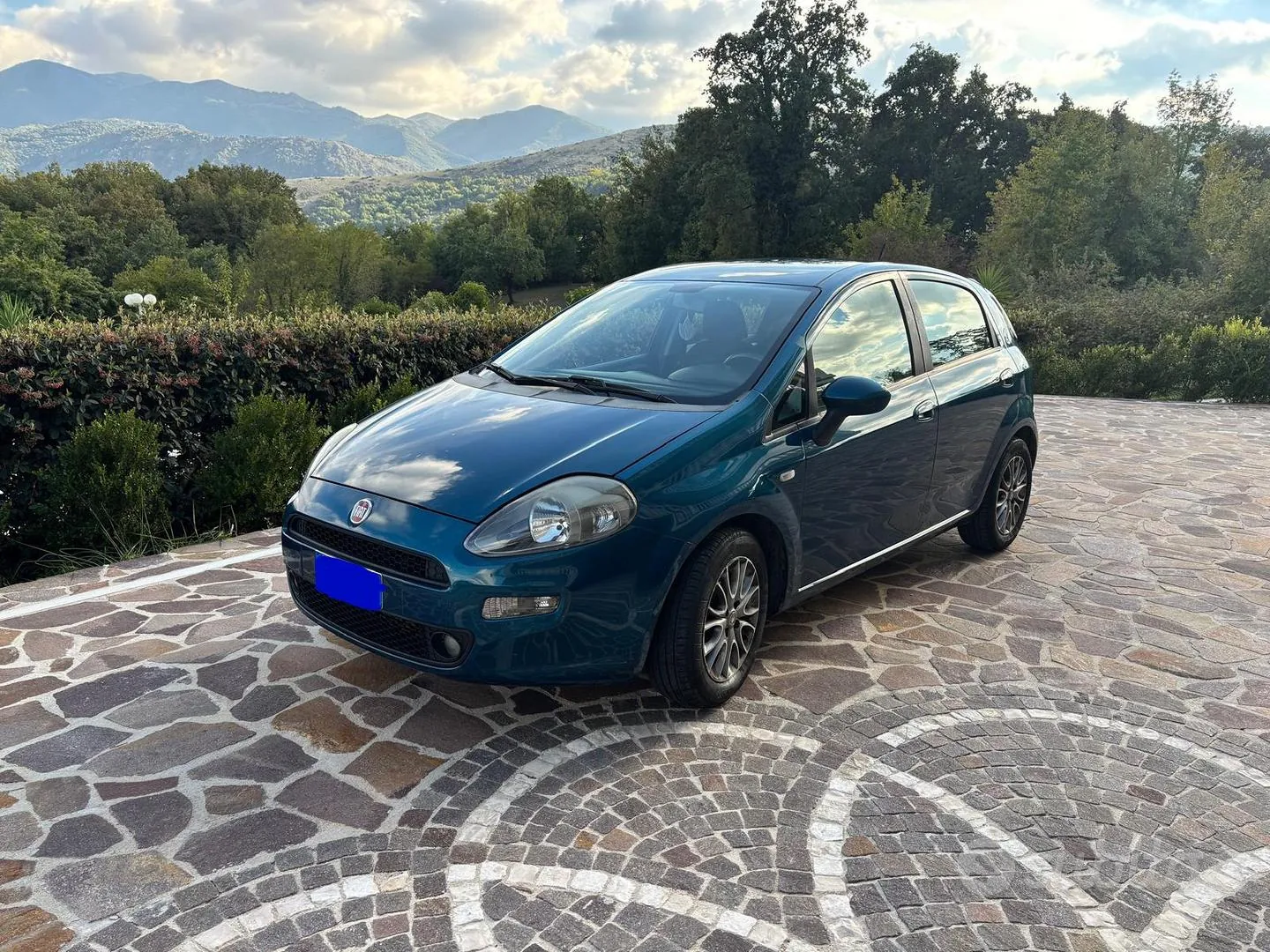 Fiat Punto