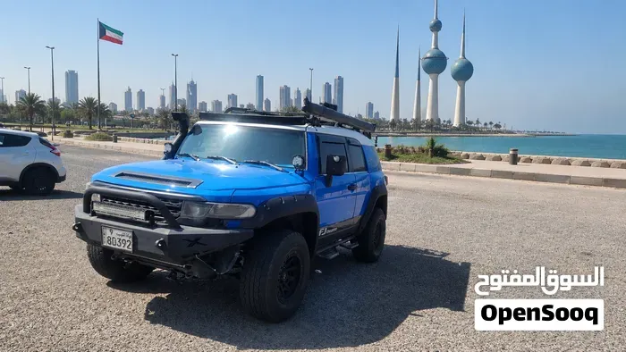 Toyota Fj 2008 photo 2