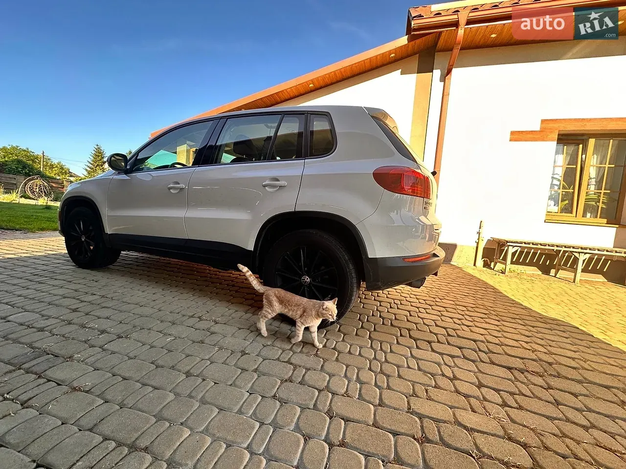 Volkswagen Tiguan 2017 photo 2