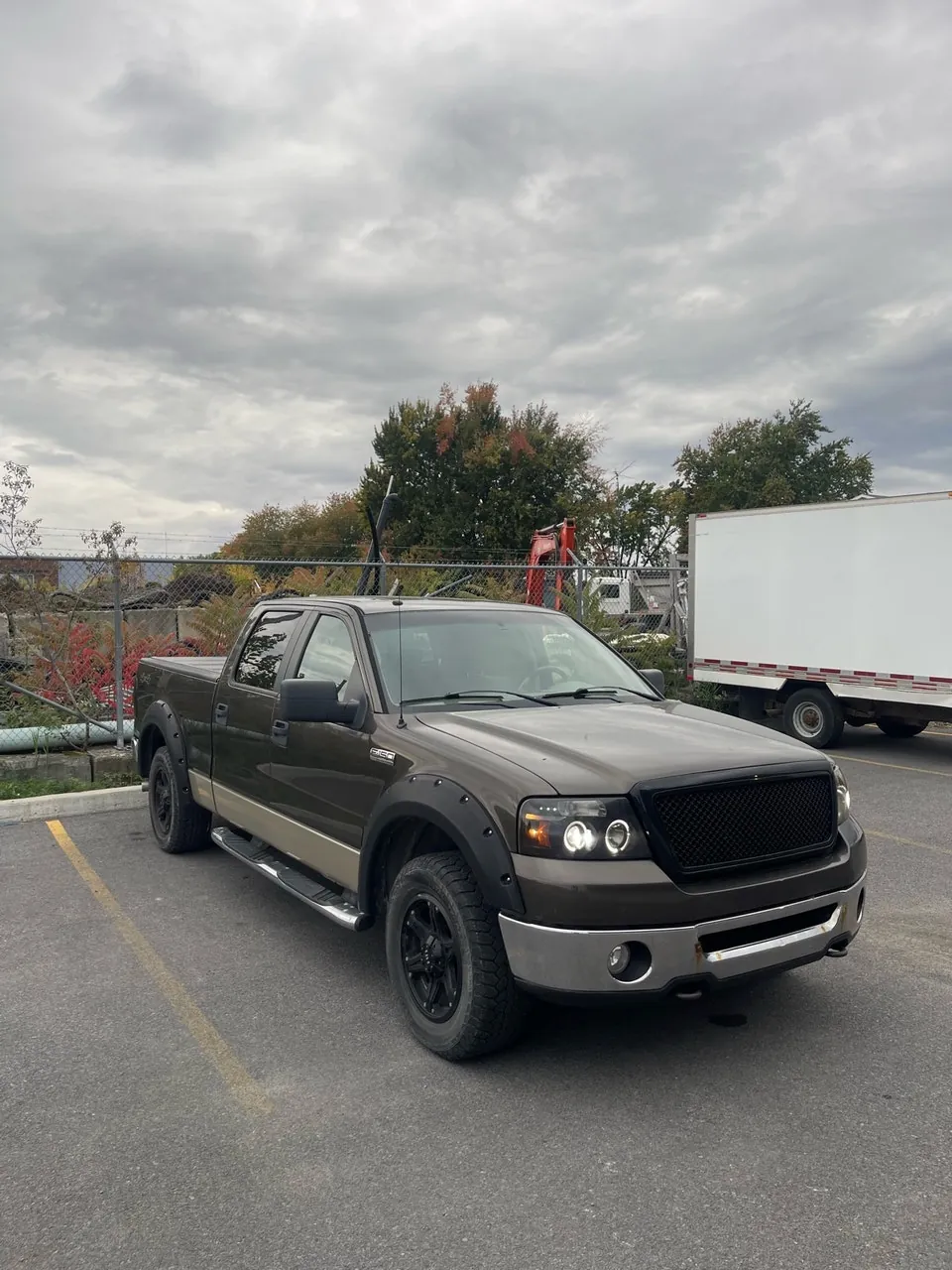 Ford F-150 2008 photo 4