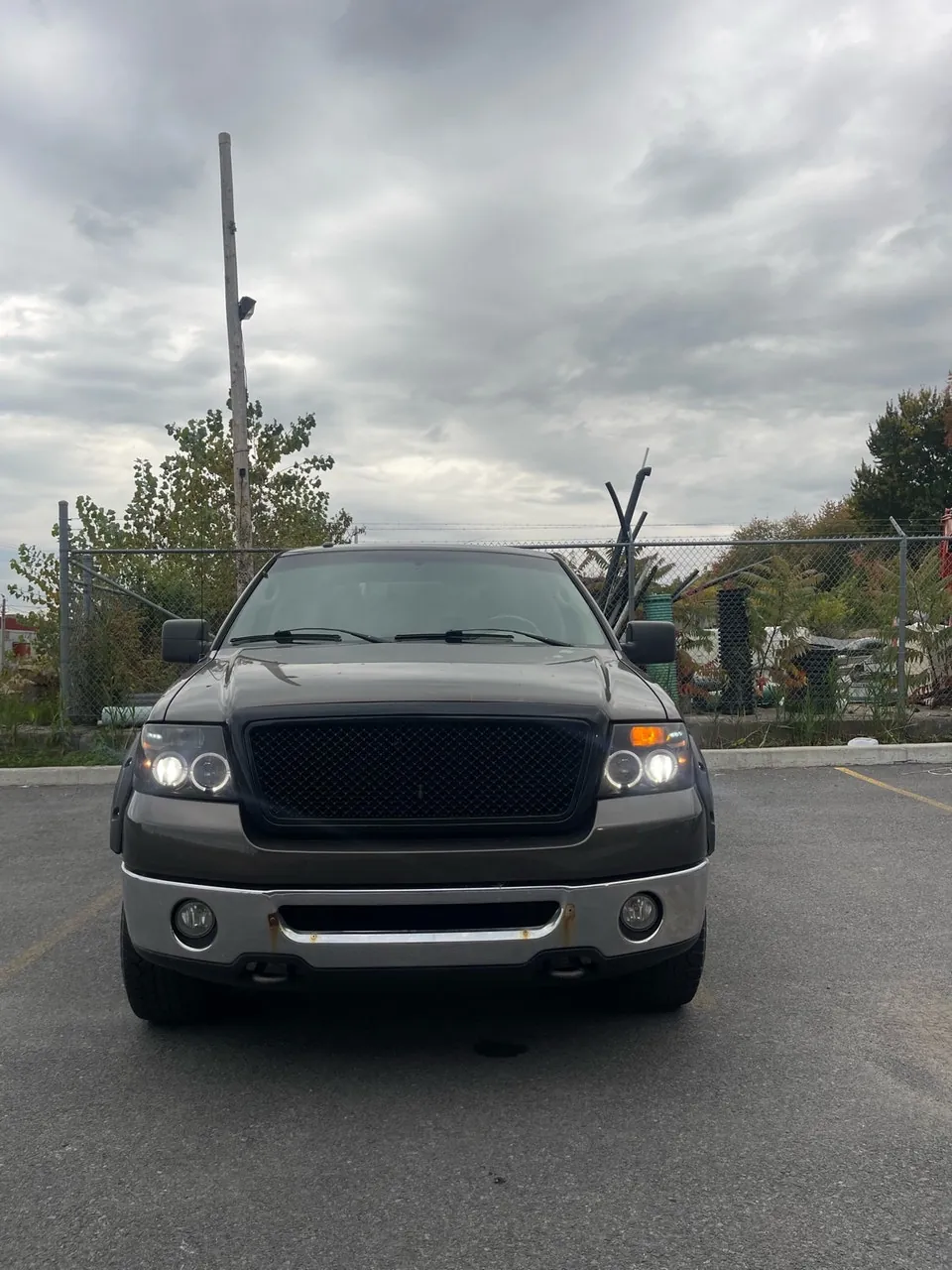Ford F-150 2008 photo 2