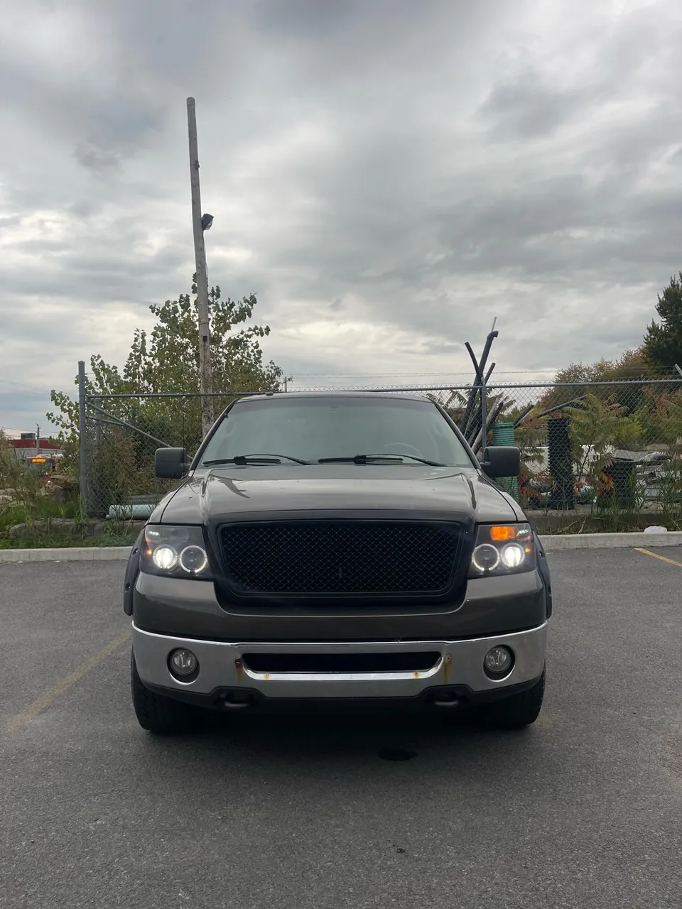 Ford F-150 2008 photo 3