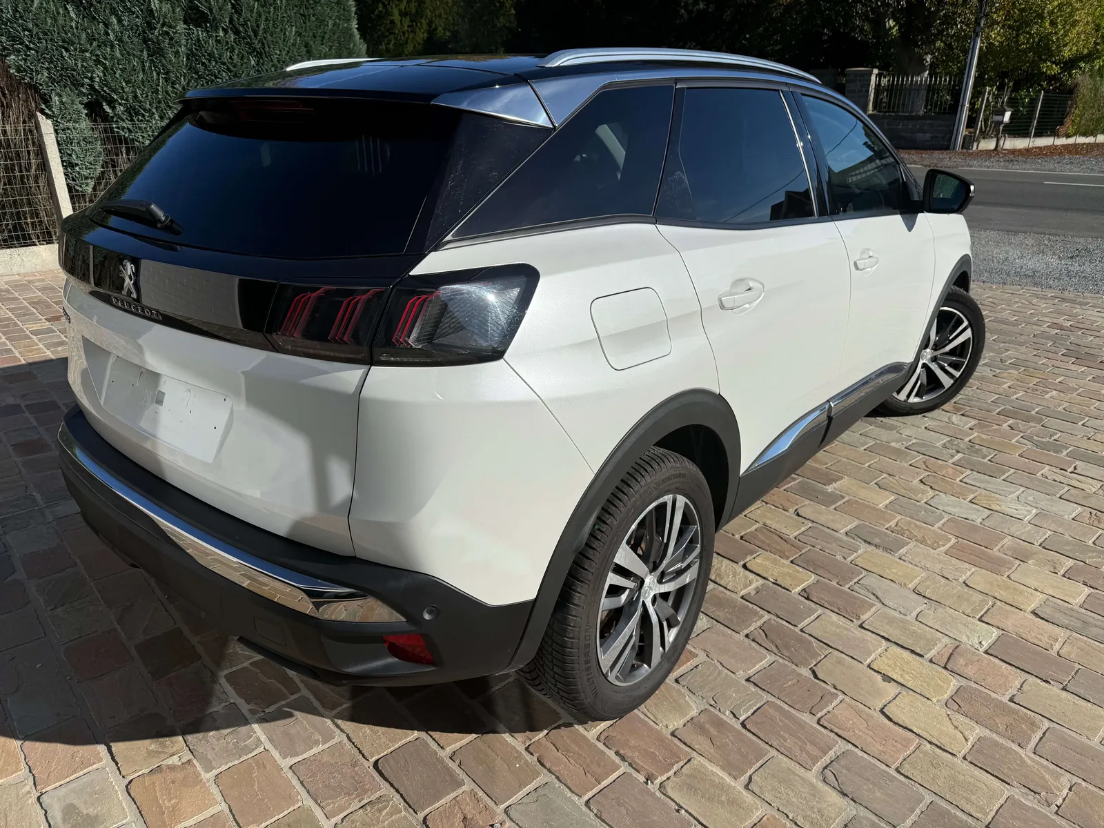 Peugeot 3008 2021 photo 5