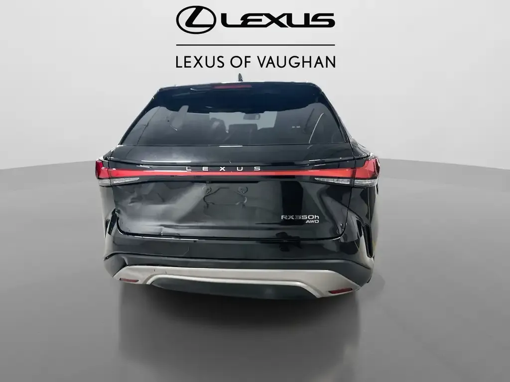 Lexus Rx 2024 photo 5