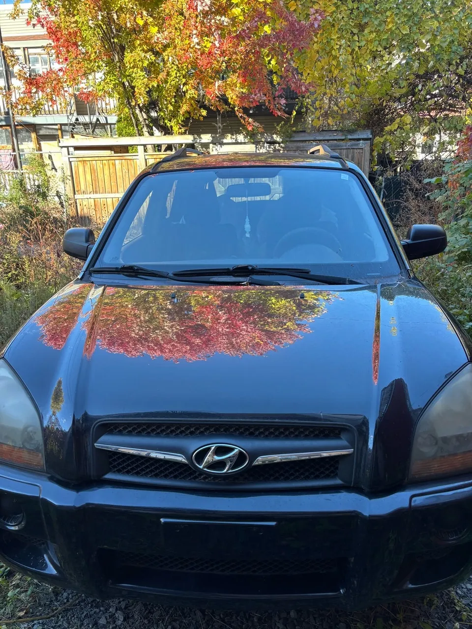 Hyundai Tucson 2009 photo 3