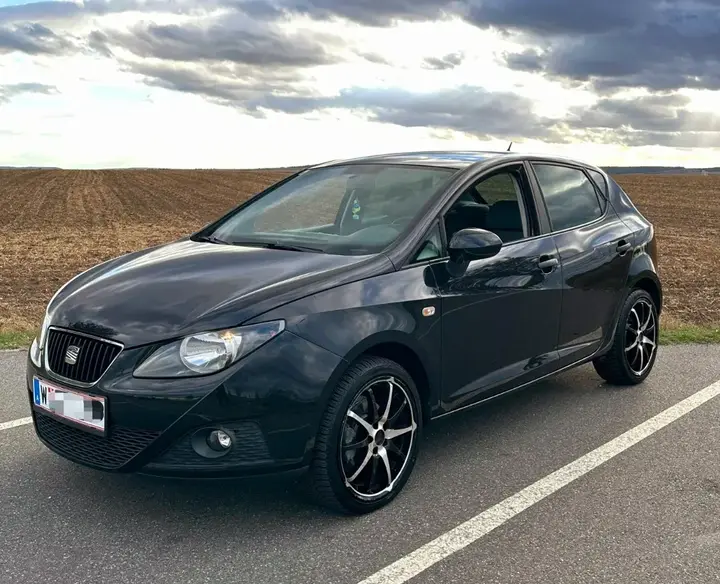 Seat Ibiza 2010 photo 2