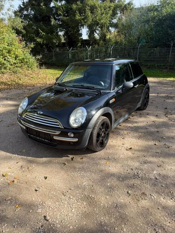 Mini One D