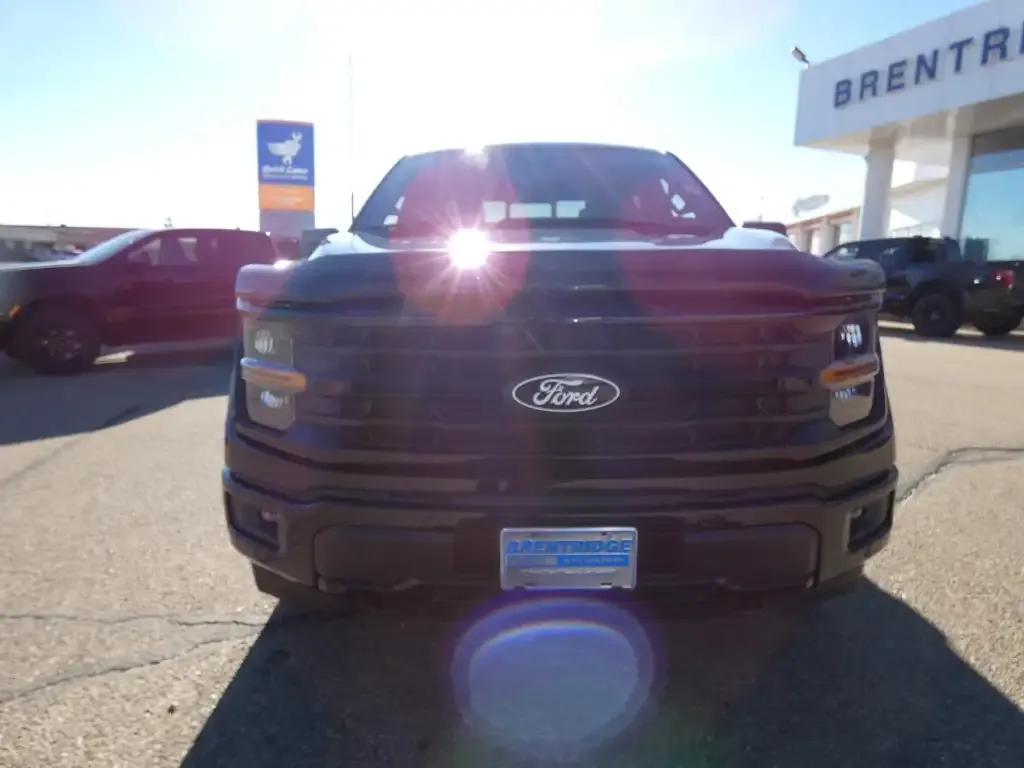 Ford F-150 2025 photo 4