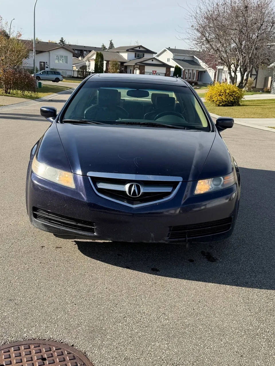 Acura Tl 2005 photo 2