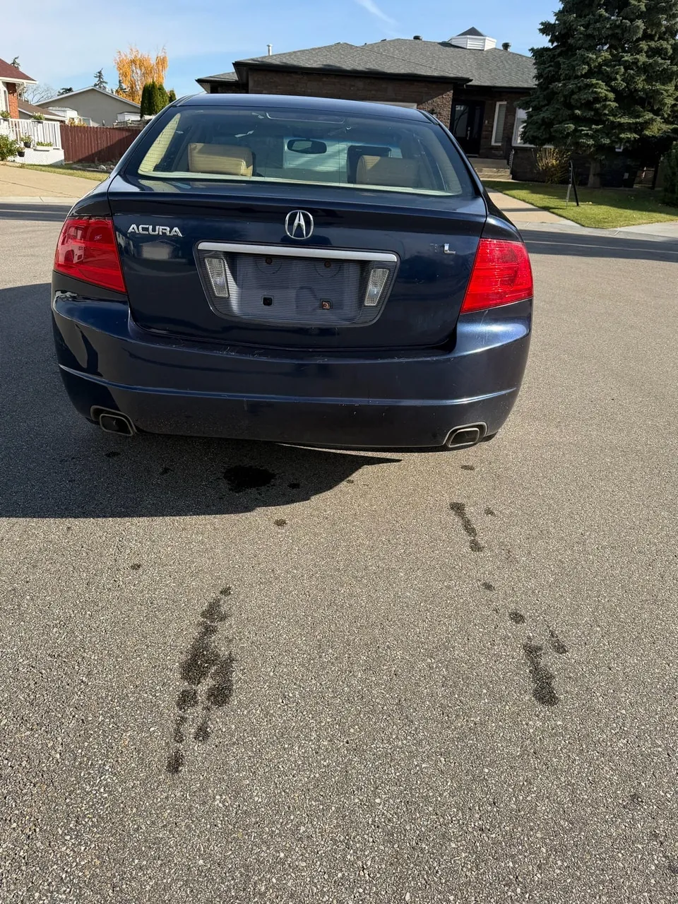 Acura Tl 2005 photo 3