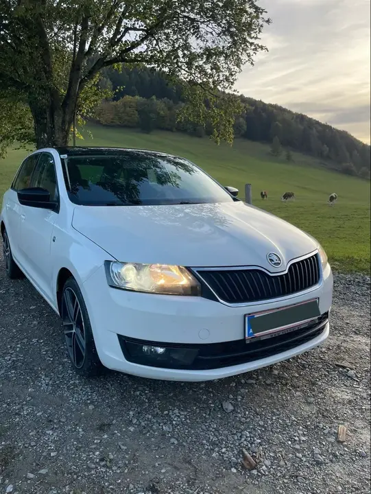 Skoda Rapid 2014 photo 3