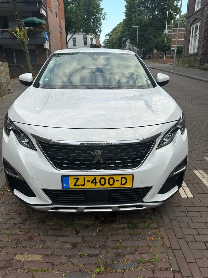 Peugeot 3008 2019 photo 3