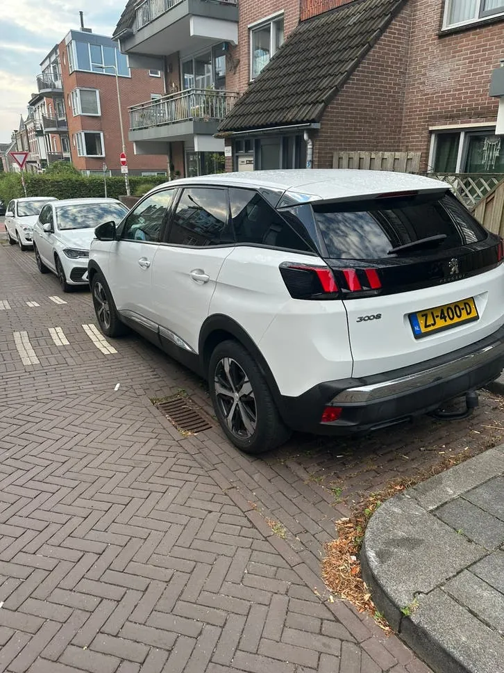 Peugeot 3008 2019 photo 2