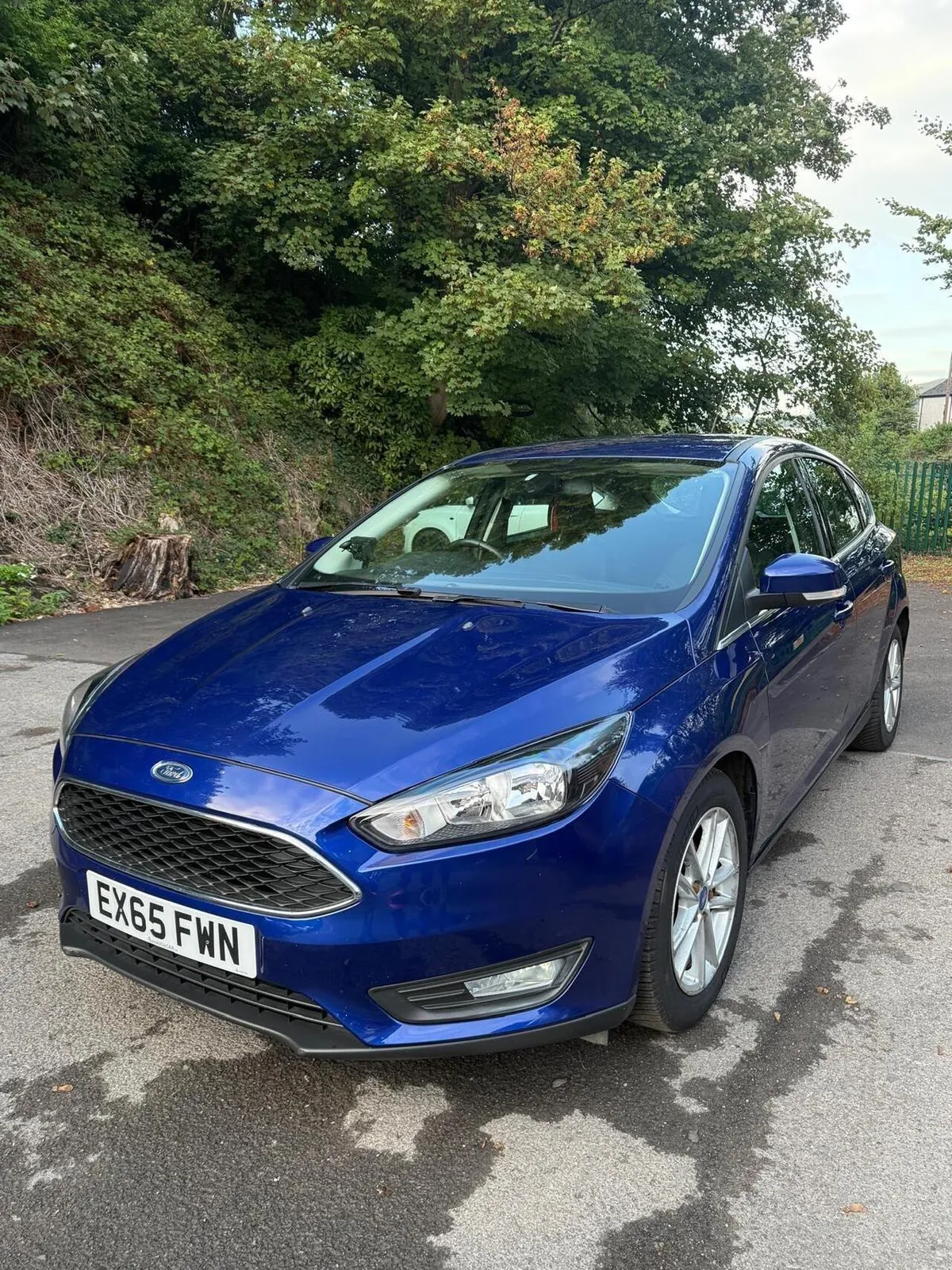Ford Focus 2015 photo 3