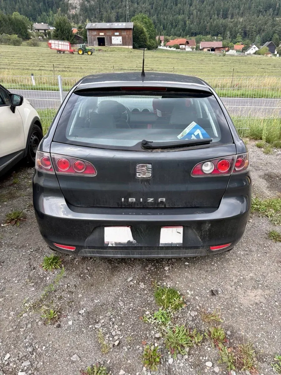 Seat Ibiza 2008 photo 2