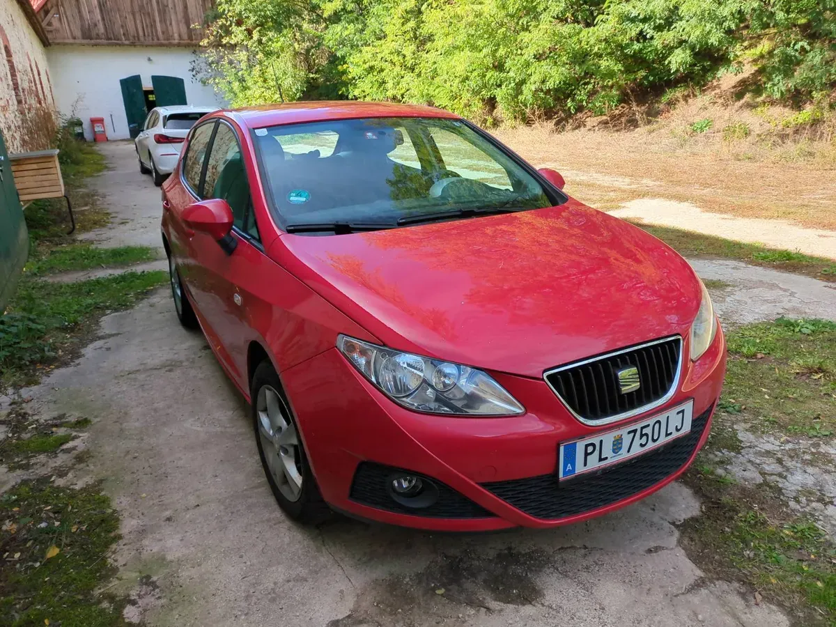 Seat Ibiza 2008 photo 2