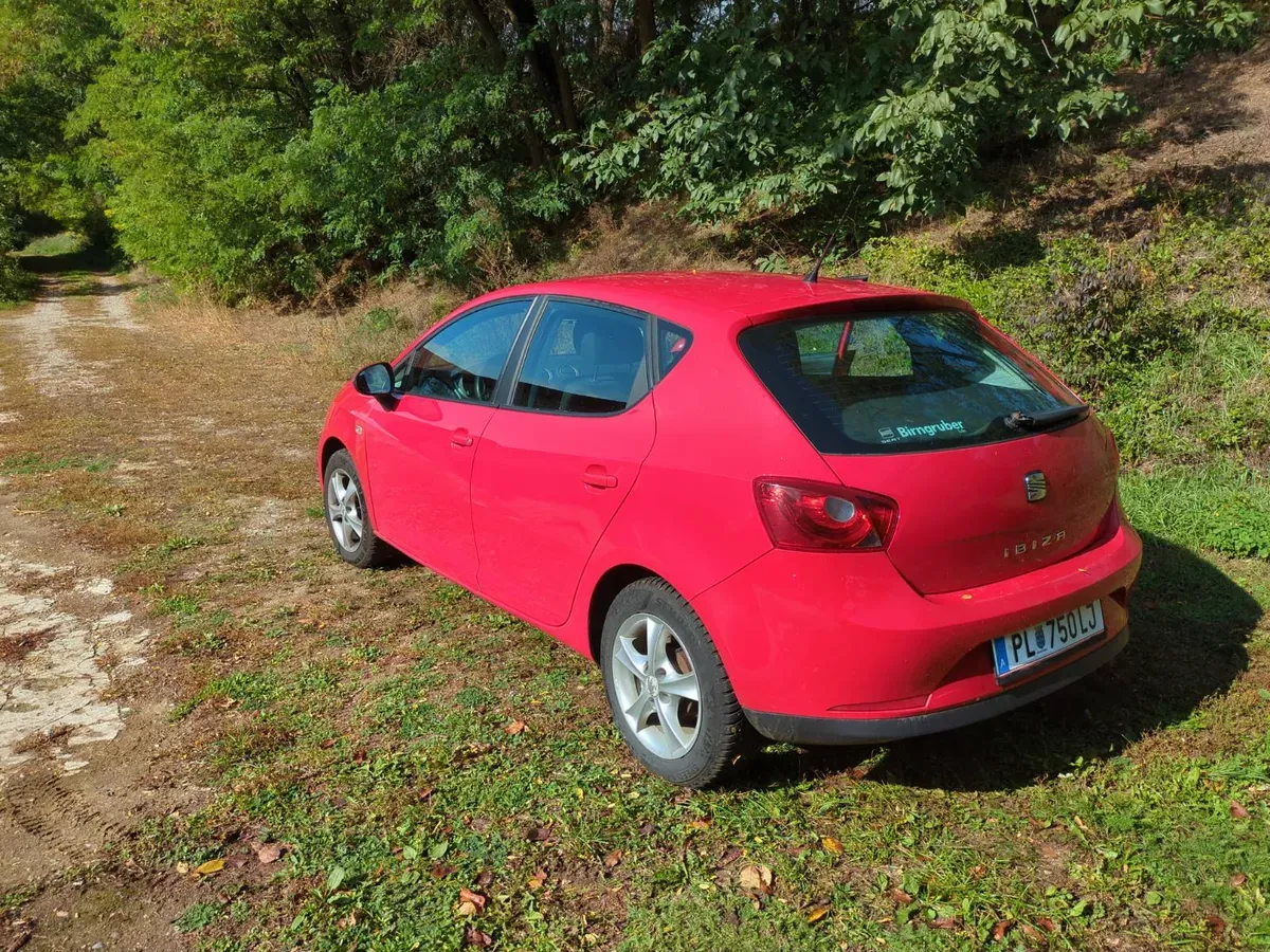 Seat Ibiza 2008 photo 3