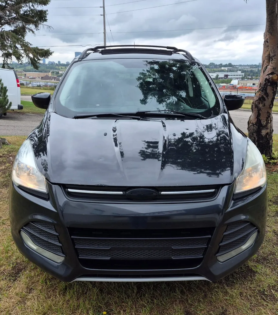 Ford Escape 2014 photo 2