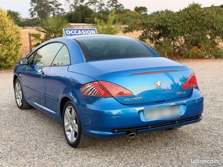 Peugeot 307 2007 photo 3