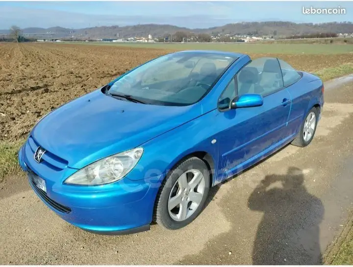 Peugeot 307 2007 photo 2