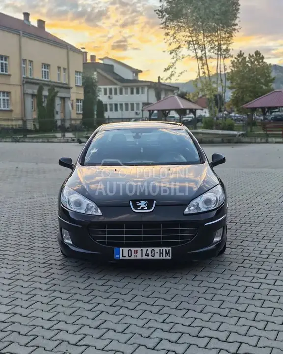 Peugeot 407 2009 photo 2
