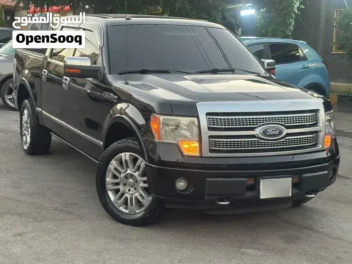Ford F-150 2010 photo 2