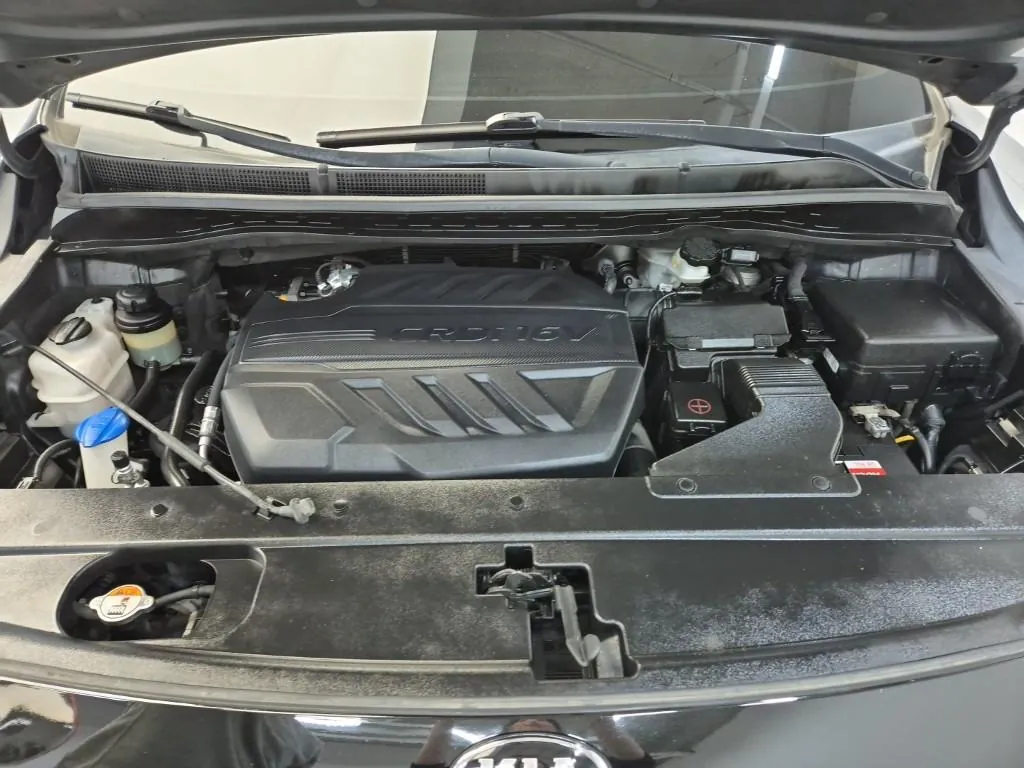 Kia Carnival 2019 photo 5