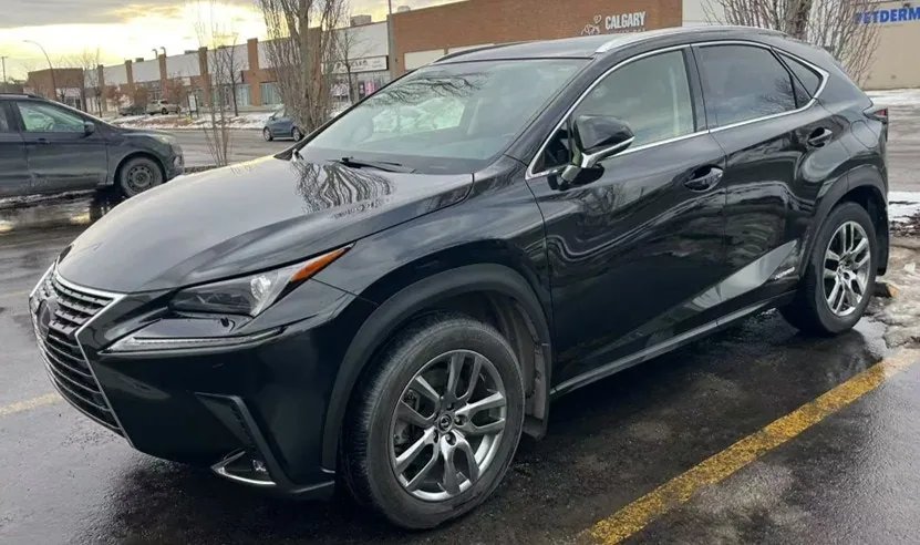 Lexus Nx 2021 photo 3