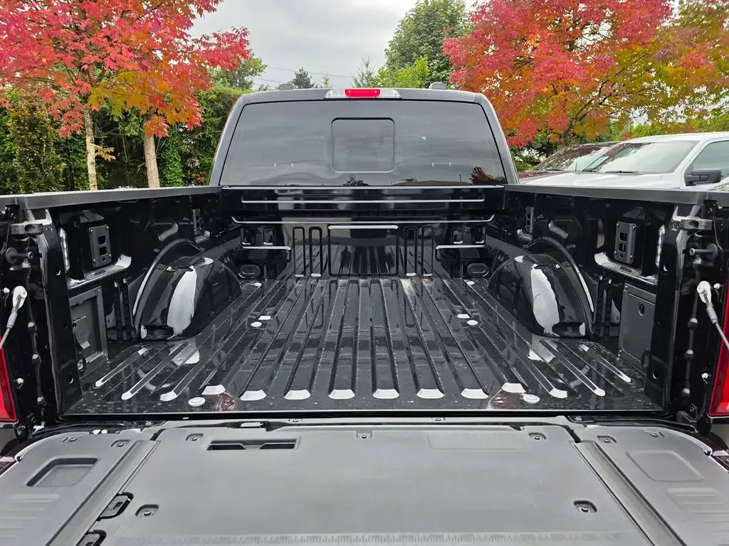 Ford F-150 2026 photo 5