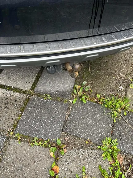 Toyota Rav4 2009 photo 5