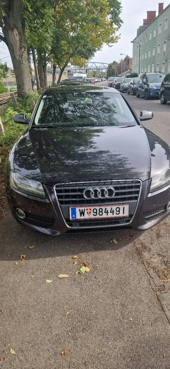 Audi A5 2010 photo 2