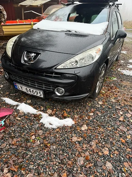 Peugeot 207 Sw
