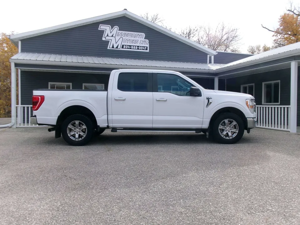 Ford F-150 2021 photo 2