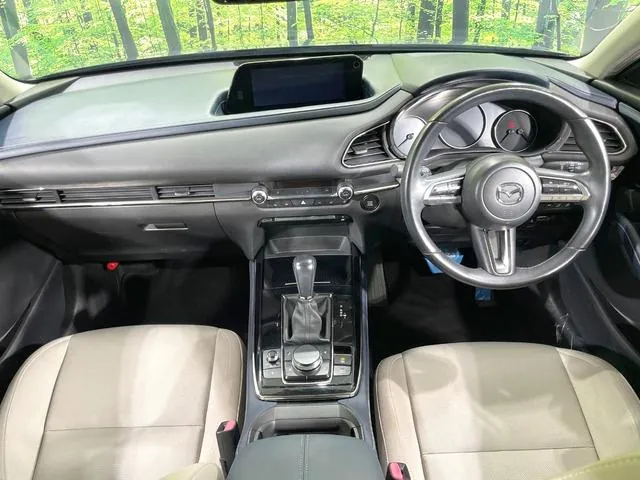 Mazda Cx-30 2019 photo 2
