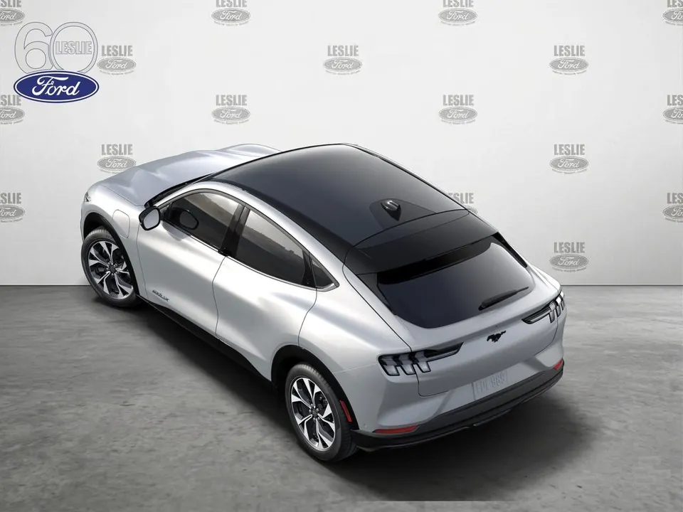 Ford Mustang Mach-E 2021 photo 2