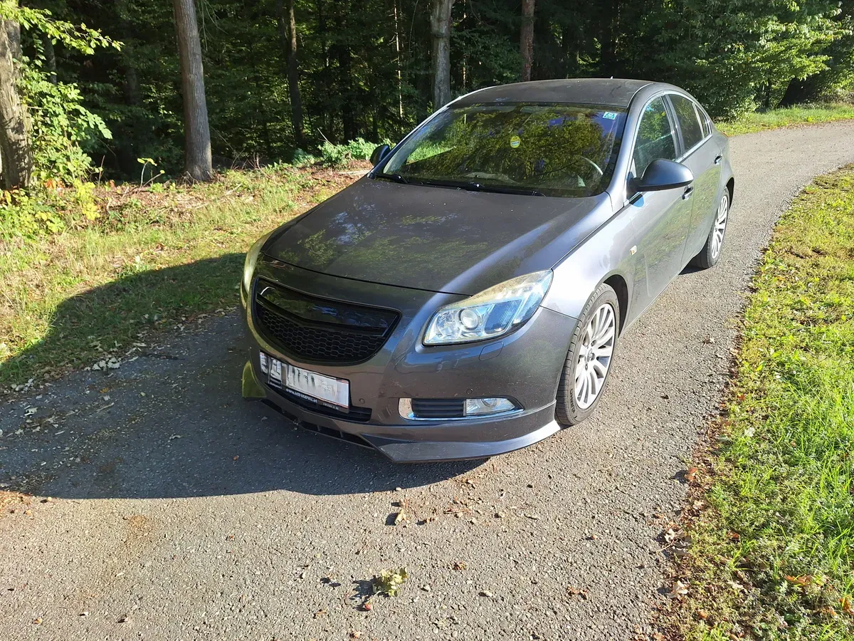 Opel Insignia 2009 photo 2