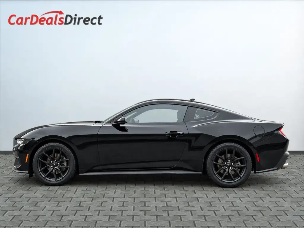Ford Mustang 2024 photo 3