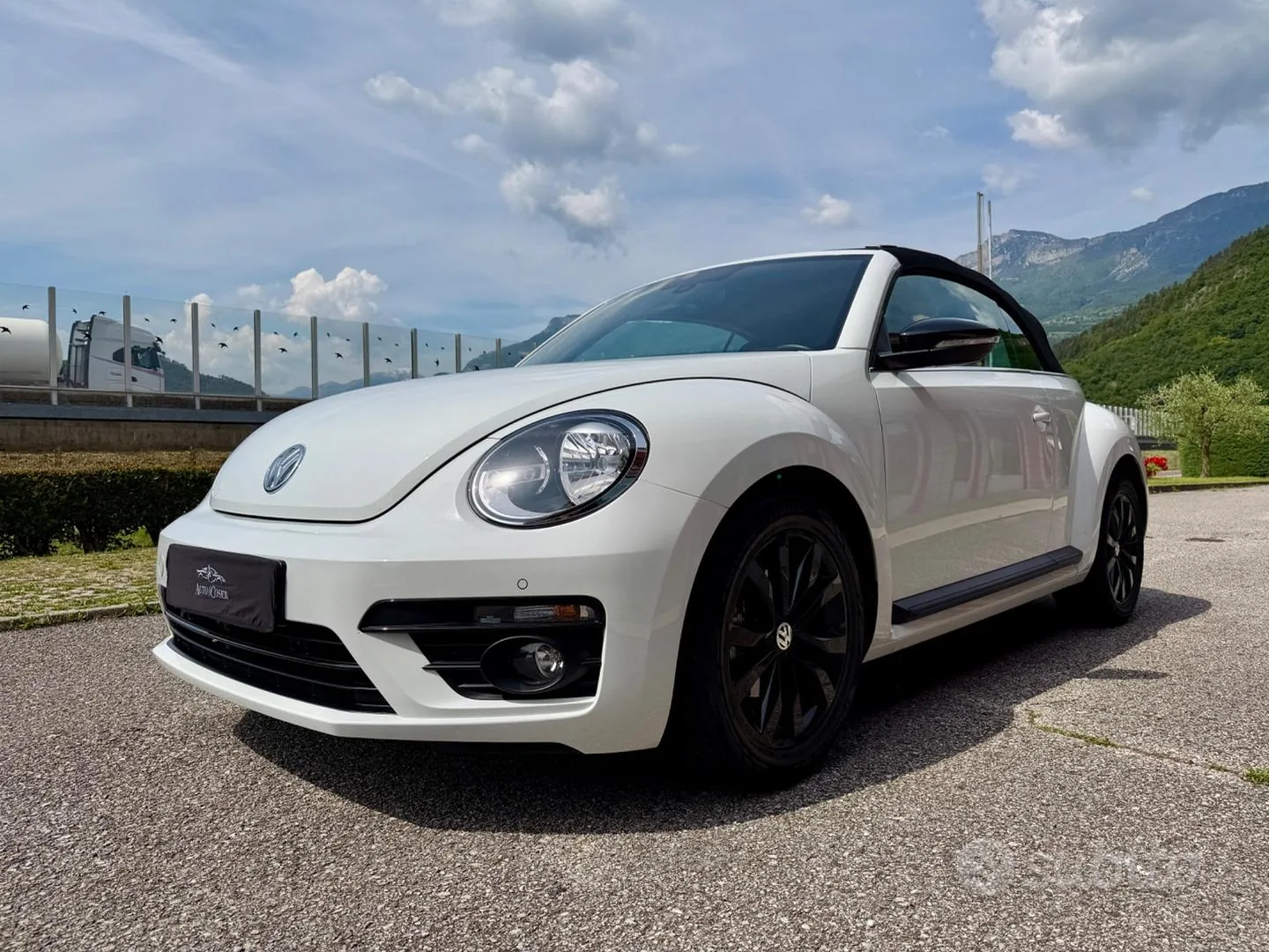 Volkswagen Maggiolino