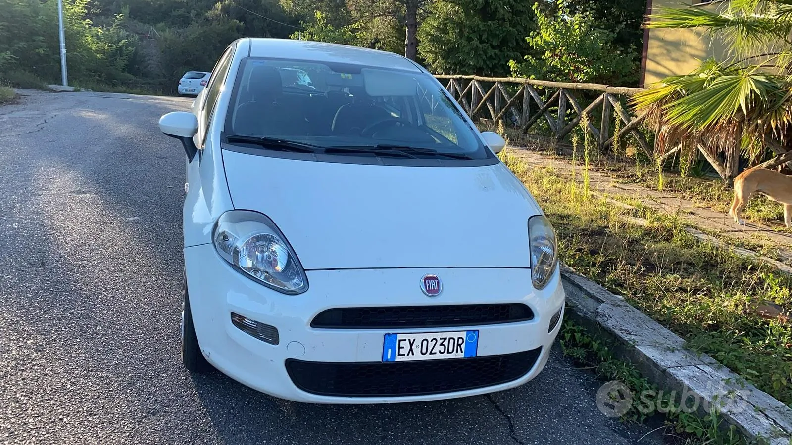 Fiat Punto 2013 photo 2