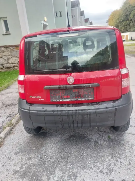 Fiat Panda 4X4 2008 photo 3