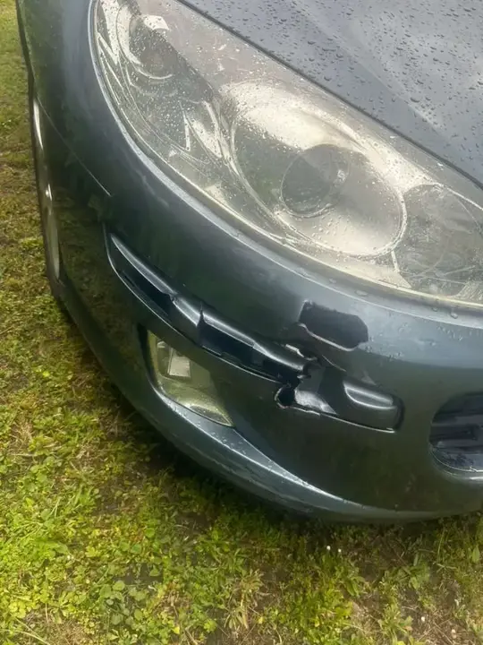 Peugeot 407 2004 photo 3