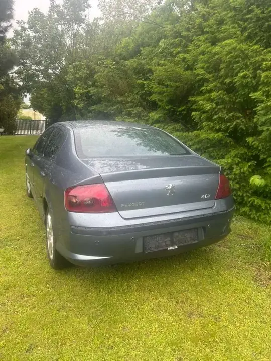 Peugeot 407 2004 photo 2